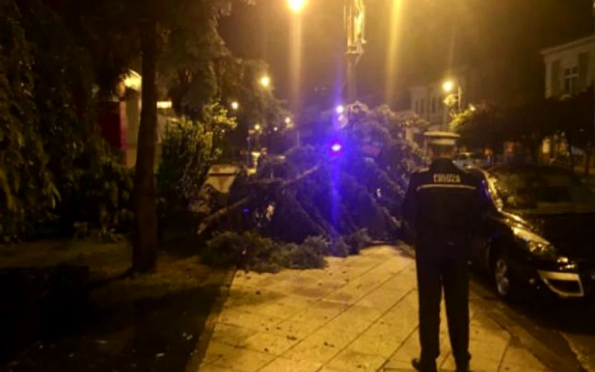Arbori căzuţi pe o stradă din Turda. FOTO: Turdanews