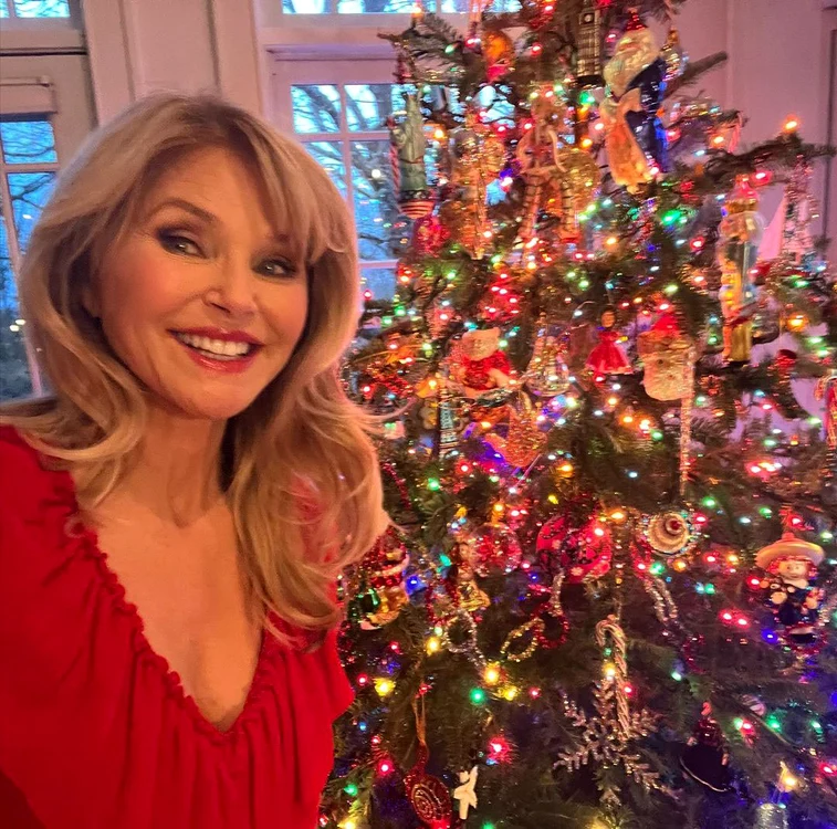 Christie Brinkley FOTO: INSTAGRAM 