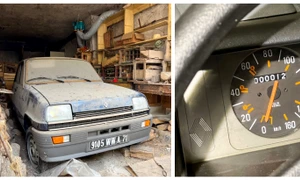 BeFunky collage   2026 02 08T181250 239 jpg