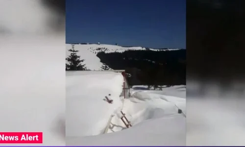 zapada valcea jpeg