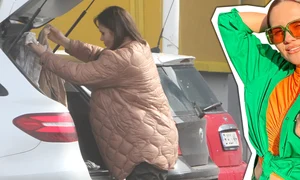 cub cristina siscanu png