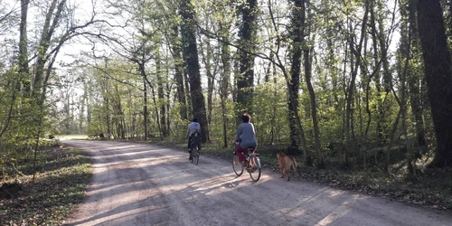 Parcul Ambrozy de la Bazoş FOTO Ştefan Both