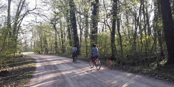 Parcul Ambrozy de la Bazoş FOTO Ştefan Both