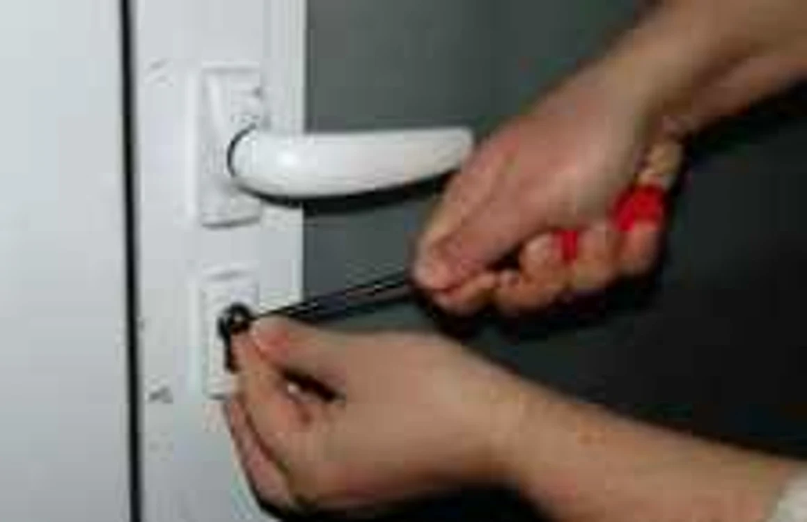 Hoții au ajuns pe mâinile polițiștilor