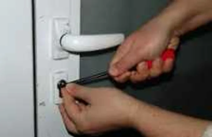 Hoții au ajuns pe mâinile polițiștilor