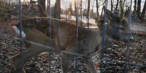 61912a0f5163ec427189dc77 jpg