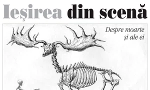 Ieşirea din scenă jpeg