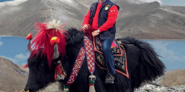 Ştefan Vuza