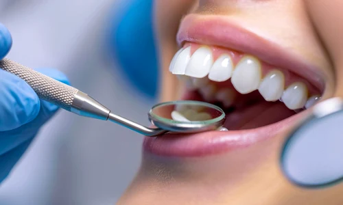 shutterstock 2523738153 jpg