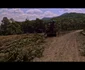Paradox: fost drum naţional, DN7D, asfaltat doar la jumătate, cu uliţe moderne. Parţial va fi paralel cu Autostrada Sibiu - Piteşti