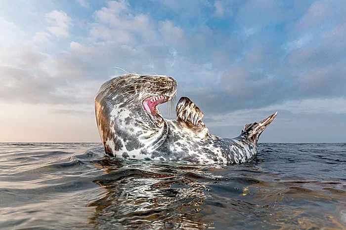 Ce mult mă iubeşte  camera foto!
