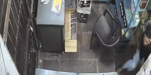 GIF Leopard