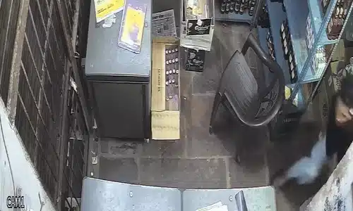 GIF Leopard