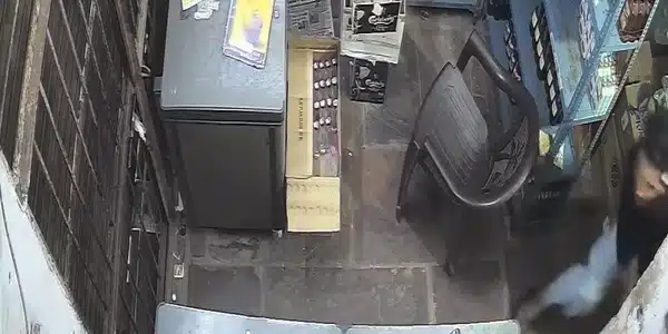 GIF Leopard