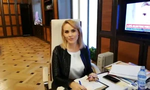 gabriela firea birou calorifer electric jpeg