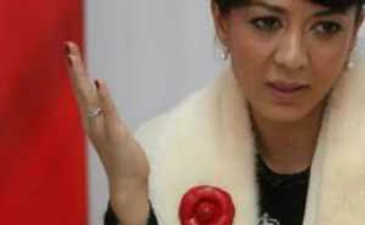 Oana Niculescu Mizil