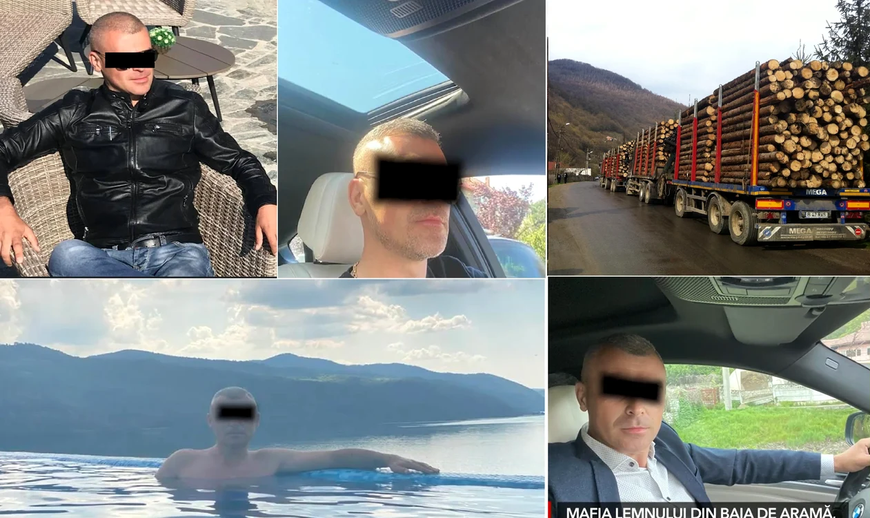 Polițistul corupt din Mehedinți acuzat de sustragerea de material lemnos din pădurile statului Colaj