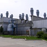 sanevit