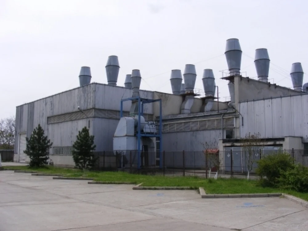 Prima fabrică de seringi din România a fost vândută la licitație. Angajații și-au primit salariile restante de un deceniu