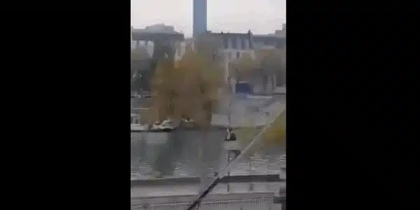 luvru gif gif