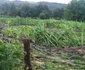 Zeci de gospodării au fost inundate joi în argeş