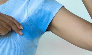 shutterstock 2481889611 jpg