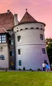 Castelul Bethlen Haller, foto Facebook jpg