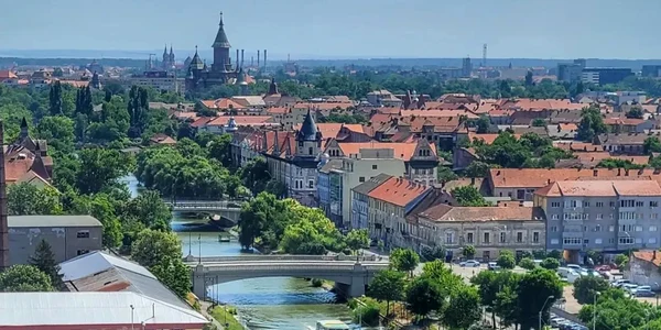 foto visit timisoara 8 jpg