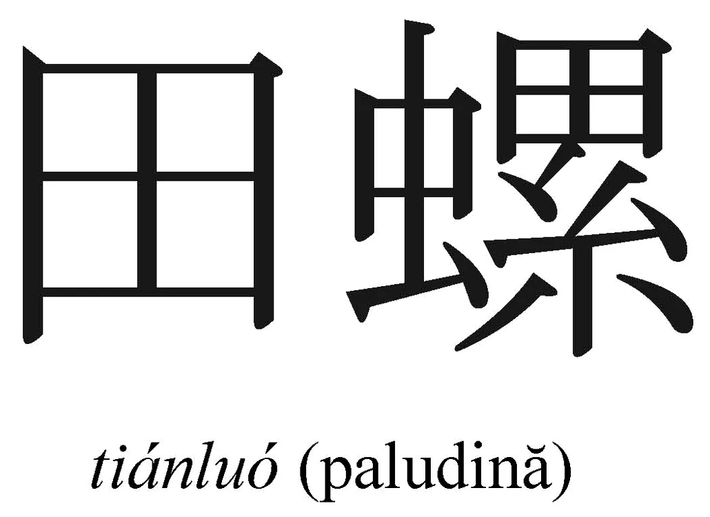 Paludine la abur umplute cu carne jpeg