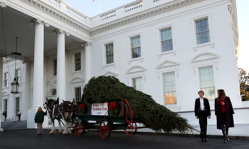 First Lady Melania Trump Receives White House Christmas Tree jpeg