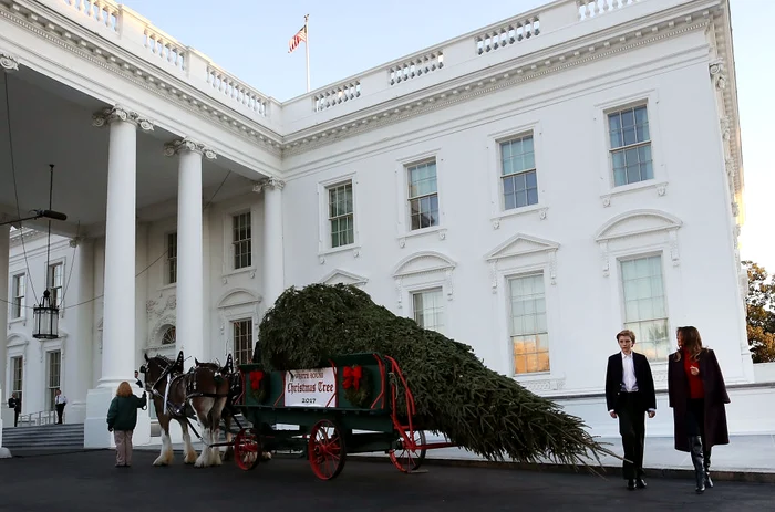 First Lady Melania Trump Receives White House Christmas Tree jpeg
