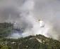 Incendii de vegetaţie în Insulele Canare