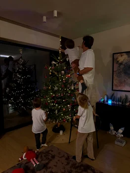 Bradul familiei / Foto: Instagram