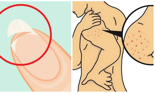 1 83351 original jpg jpeg