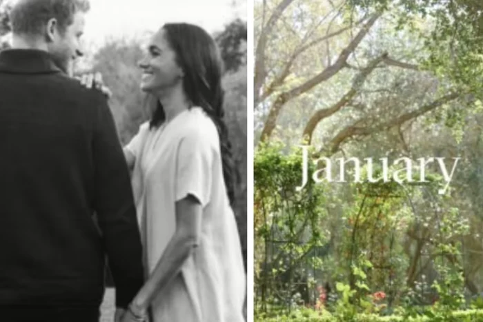 Meghan și Harry ianuarie 2026 png