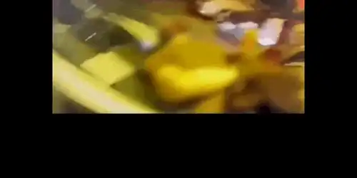 sofer gif gif