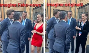oana toiu fake news fb jpg