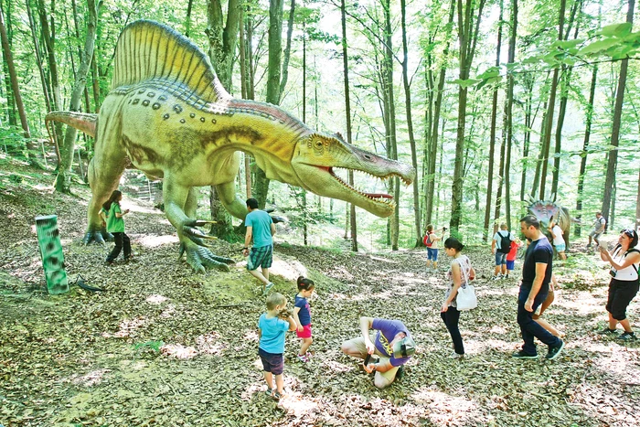 
    S-a deschis primul Dino Parc din România!Foto: Dorin Constanda  