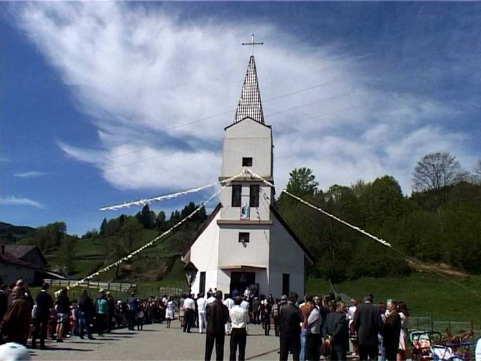 poloni poiana micului. FOTO