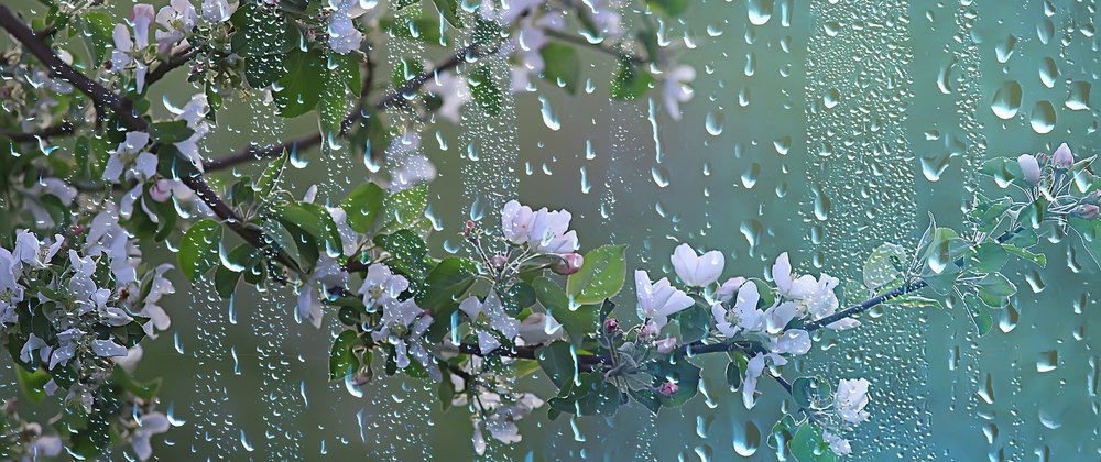 Vremea în următoarele două săptămâni. Unde vor predomina precipitațiile