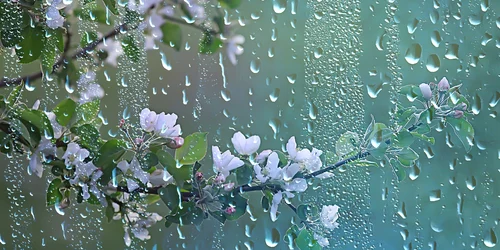 ploaie primavara shutterstock 1660946191 jpeg