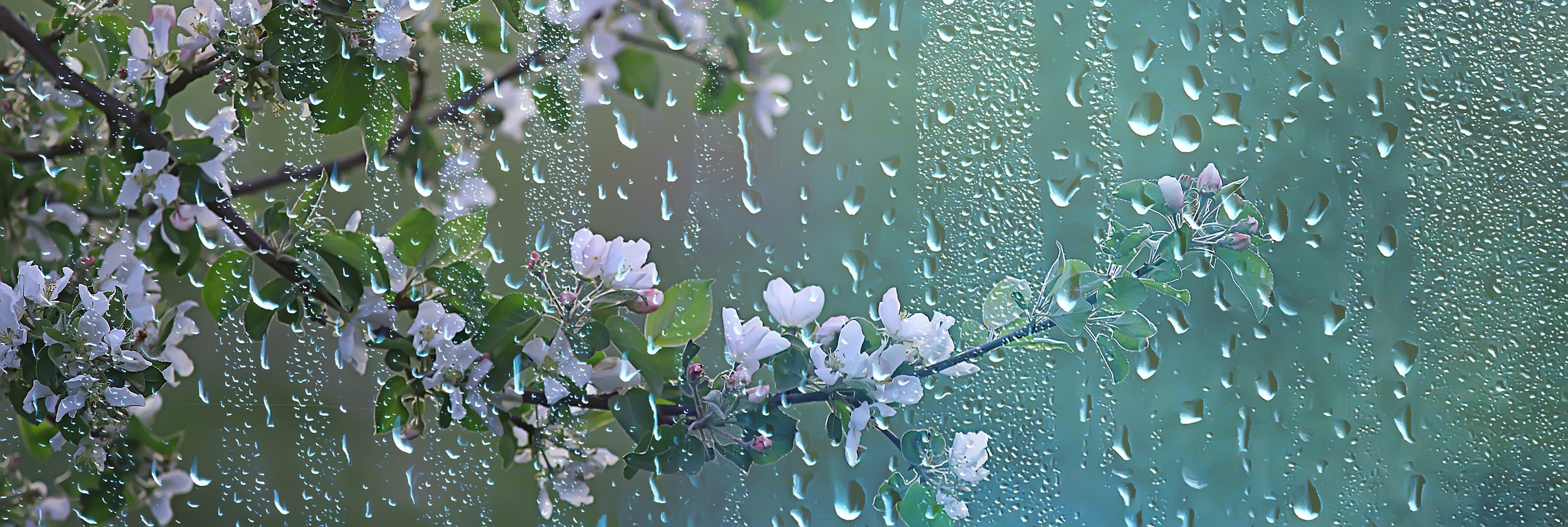 Sfârșitul lui aprilie va aduce temperaturi scăzute. Cum va fi vremea la începutul lunii mai