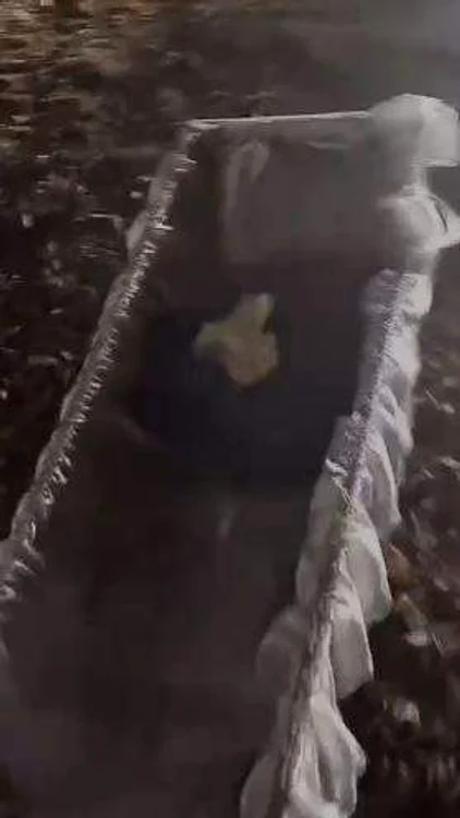 Sursă foto: Captură videoî