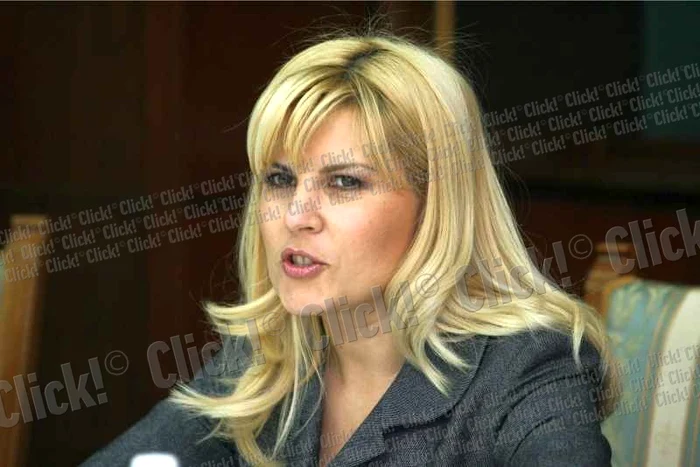 
    Elena Udrea. (Foto: Lucian Muntean)  