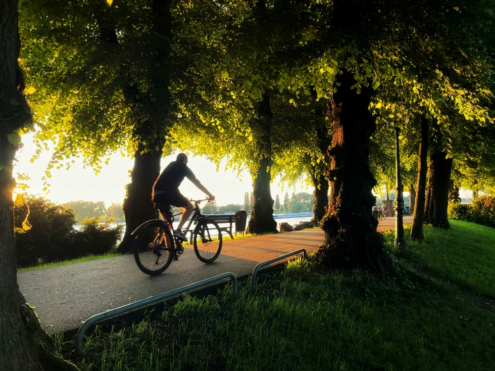 În jurul Bucureștiului sunt mai multe oaze de liniște la care se poate ajunge cu bicicleta. Unsplash