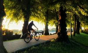 marcellin steinhaus Exbp0QovcEc unsplash jpeg