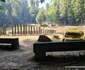 Saemizegetusa Regia  Foto Daniel Guță, ADEVĂRUL (4) jpg