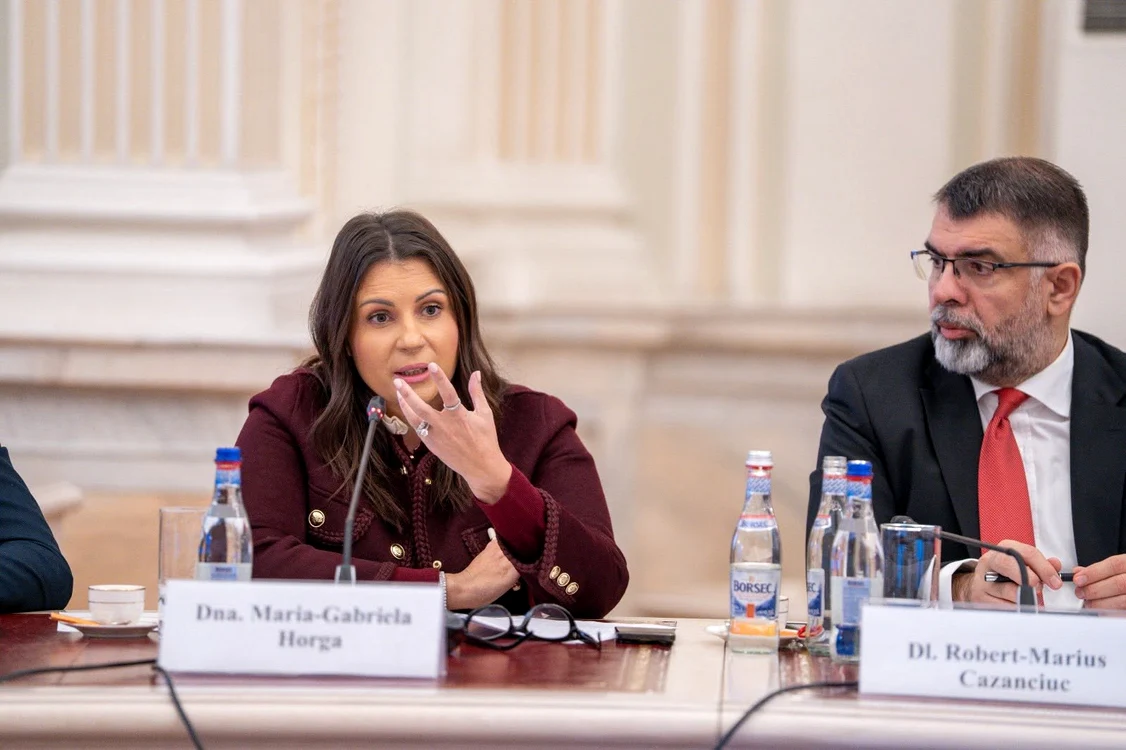 Gabriela Horga, în timpul unei dezbateri în Senat, alături de Robert Cazanciuc