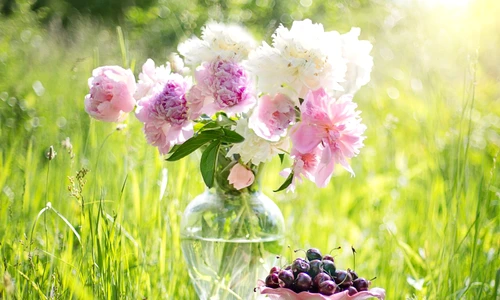 1 74709 original jpg jpeg