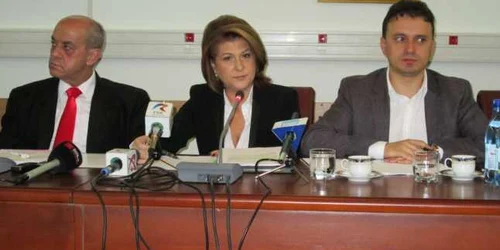 Ministrul Rovana Plumb